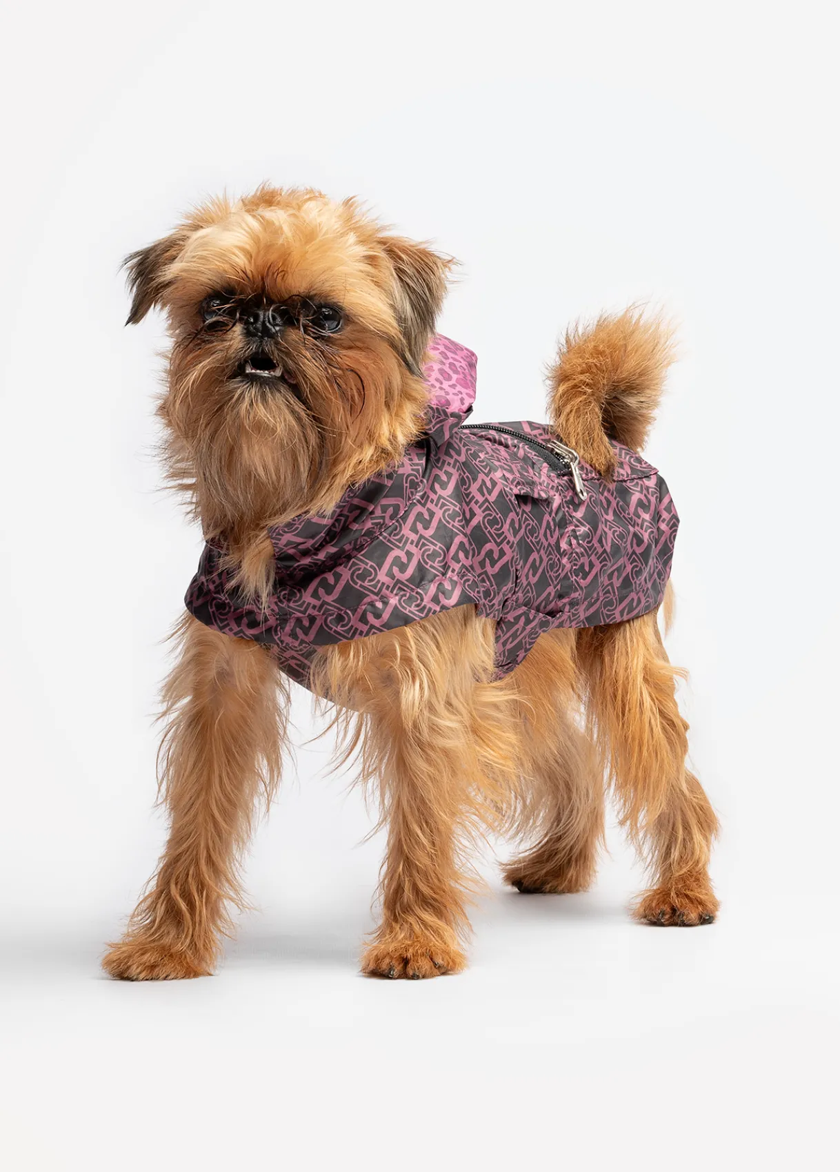 Liu Jo Imperméable réversible Pets|Femme Liu Jo Pets